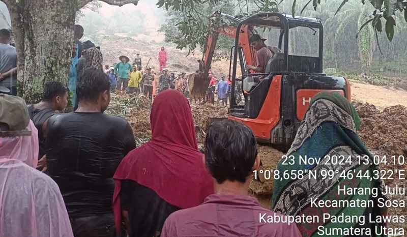 Kondisi wilayah terdampak tanah longsor dan proses pencarian oleh tim gabungan di Desa Harang Julu, Kecamatan Ulu Sosa, Kabupaten Padang Lawas Provinsi Sumatera Utara, pada Sabtu (23/11/2024). Foto:BPBD Kabupaten Padang Lawas