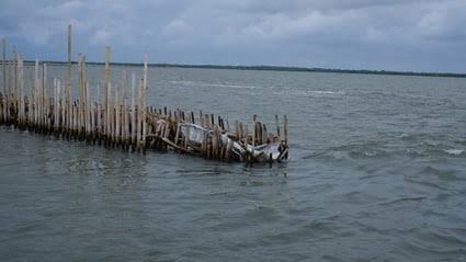 Pagar laut misterius kembali terlihat. Pagar tersebut membentang di perairan Laut pesisir utara Kabupaten Bekasi, Jawa Barat