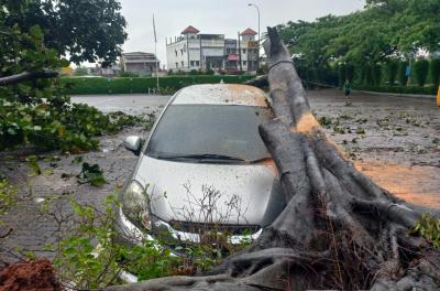 Penampakan mobil tertimpa pohon di FM3 Tangerang.