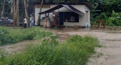 Puluhan hektare sawah di Kabupaten Tangerang, terendam banjir imbas intesitas hujan cukup tinggi belakangan ini.