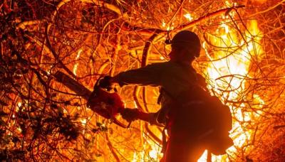 Seorang petugas pemadam kebakaran berusaha memadamkan bagian dari Palisades Fire, salah satu dari beberapa kebakaran simultan yang melanda Los Angeles County, di daerah Mandeville Canyon pada hari Minggu [Ringo Chiu / Reuters]